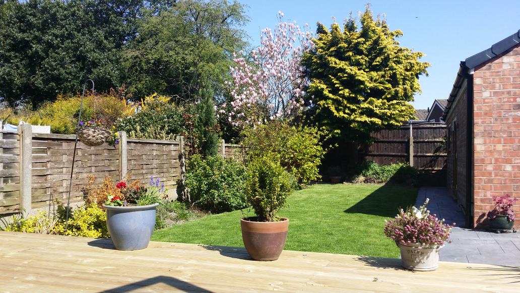 SassyMcD's tweet image. The sun is shining, all is good in the world!  #LawnMowed #BurgersForSupper #United  on #SkySports #HappyDays