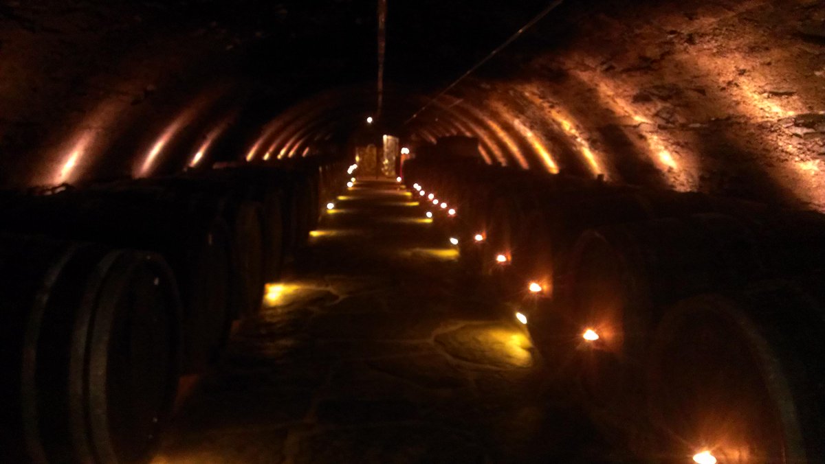 RegionBonn's tweet image. Im dunklen Keller reift der leckere Tropfen des Ahrweiler Winzervereins. #Holzfass @Ahrwein_eV #Spätherbst