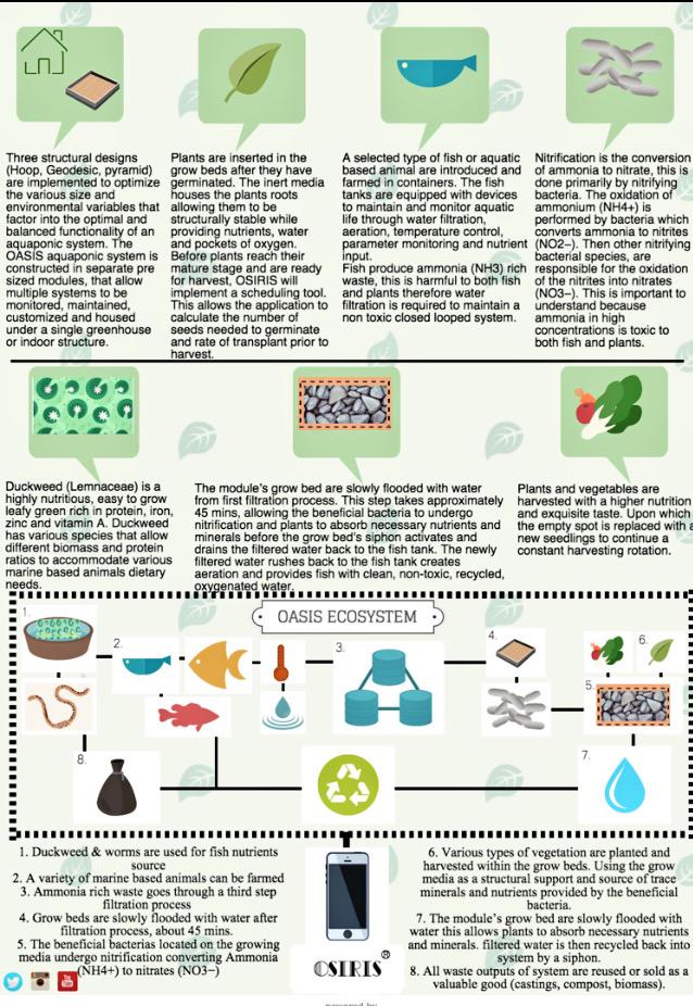 OASIS_FARMS's tweet photo. Come join our OASIS team! Donate now &amp; help us grow more sustainable projects. http://t.co/Ov9oW5kVJk