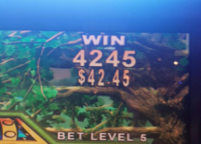 I played $5! http://t.co/4fZML5Bd7w<a href="/tag/bbc"class="tags"><span>#bbc</span></a>