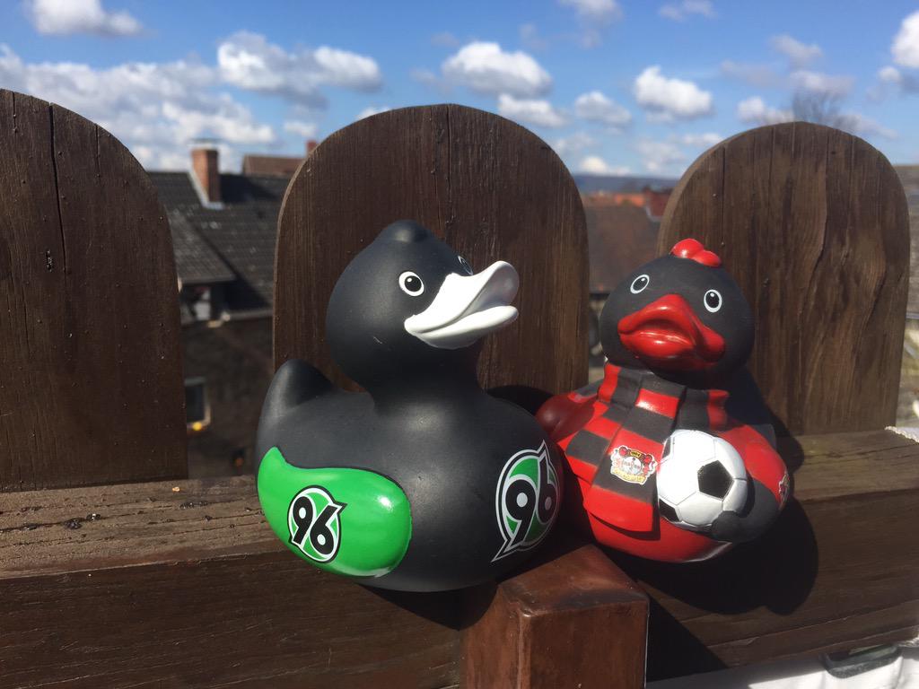 schheee's tweet image. @bayer04fussball zieht sich schon mal warm an 😉 Auf geht's @Hannover96 - kämpfen! #B04H96 💪