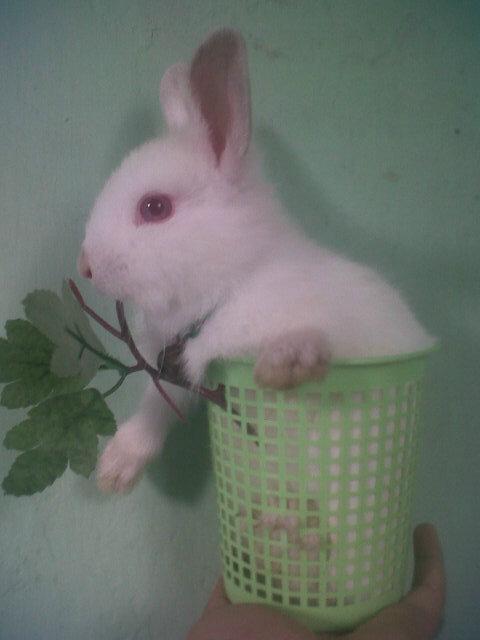 HadieHello's tweet photo. Bit bit http://t.co/itFgE0OO6Y