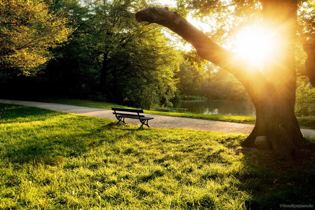 MrKeith_Shaw's tweet photo. PT Tip - Take in some natural sun and get your client outdoors today..... http://t.co/OgzP10J9pA