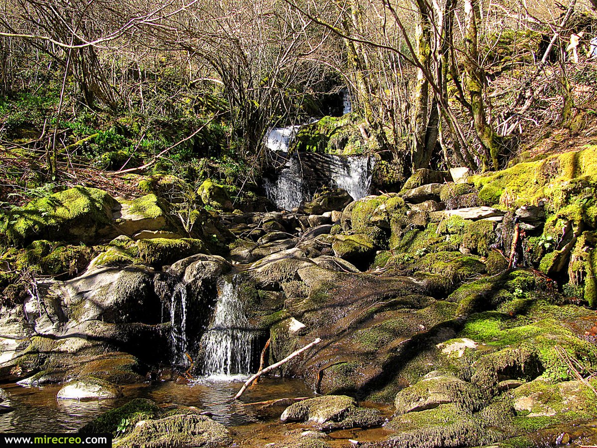 mirecreoweb's tweet photo. El Hayedo de Busmayor y su espectacular entorno #ElBierzo #Leon @SienteCyL @CyLesVida @NationalImages #mirecreo http://t.co/u5Roefym5t