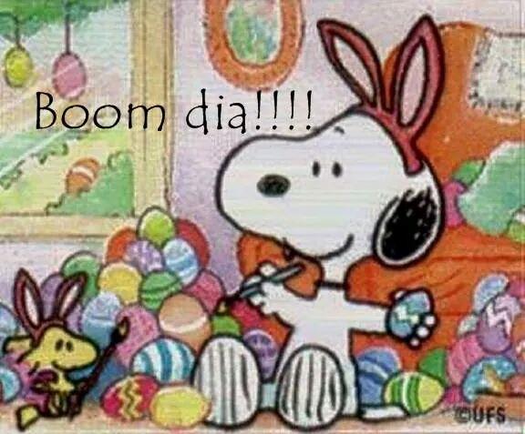 ivcardiais's tweet image. 