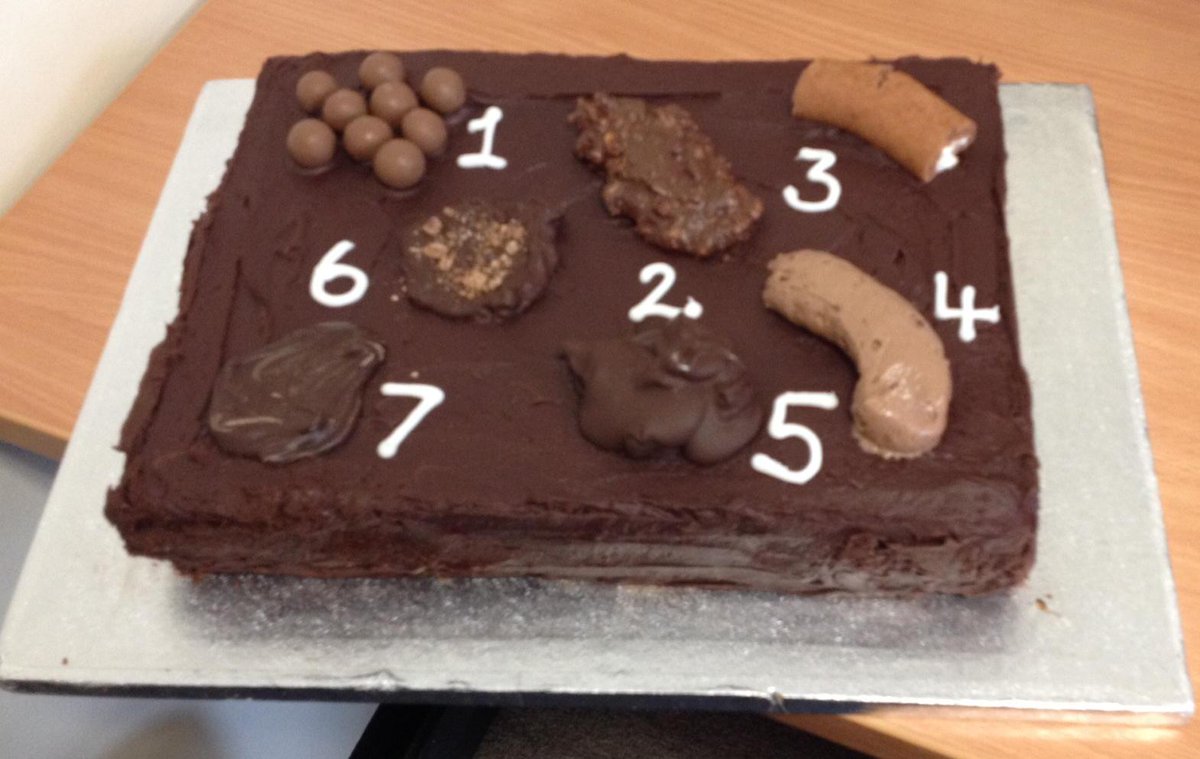 Bristol Stool Chart Cake Images