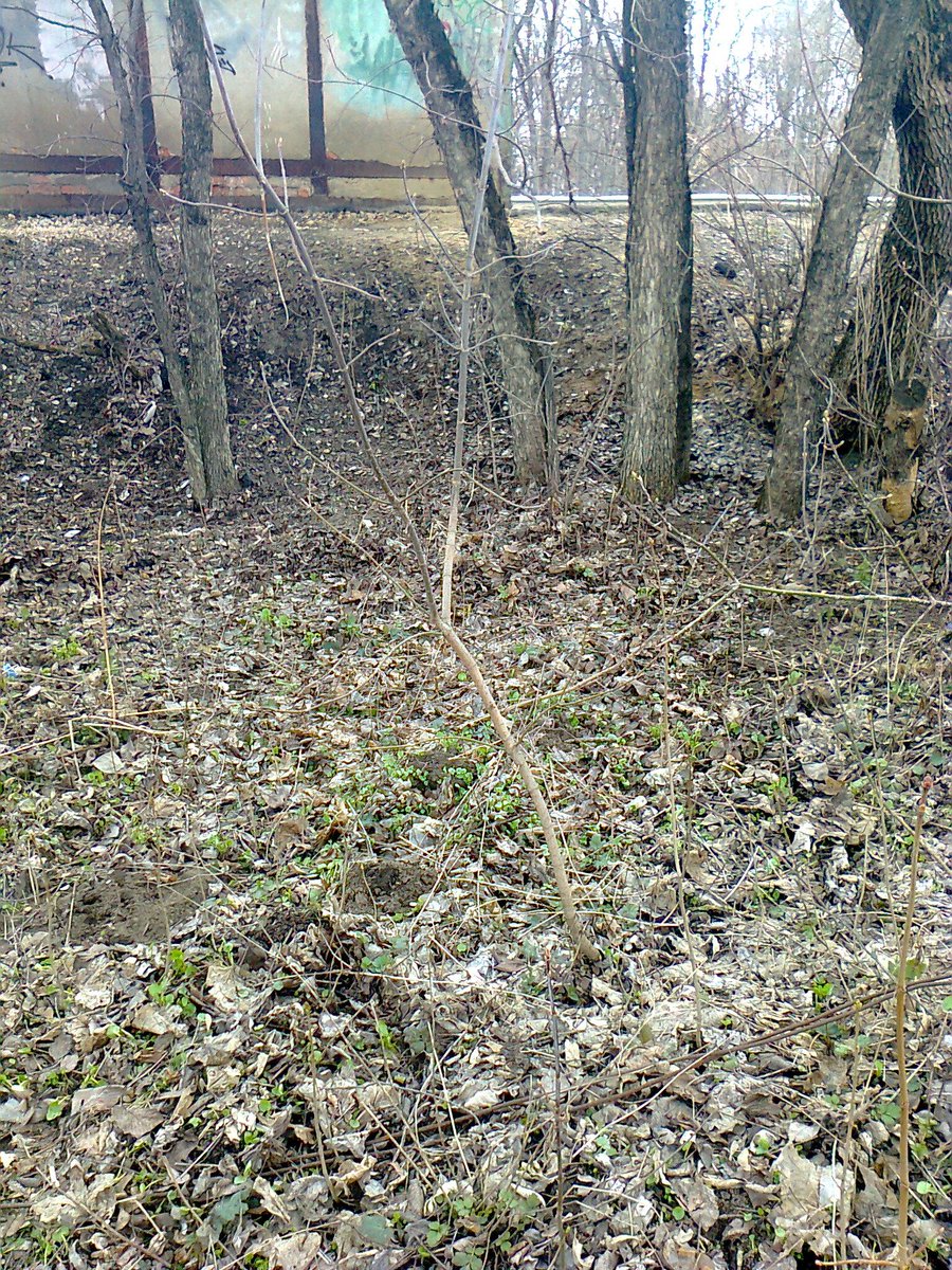 2.