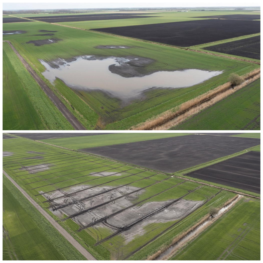 WilliamMorfoot's tweet photo. This is what we do - before and after. 1st image taken 10 days ago. #LandDrainage #boostyields http://t.co/6I0xpglrXJ