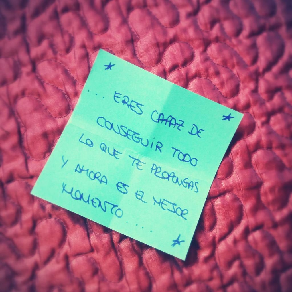 Ahora es el momento! ⚓🐒