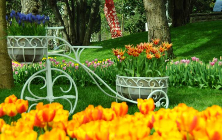 RemallTourism's tweet photo. #tulip_festival_ #Istanbul just started! #Remall_Tourism http://t.co/WeAX2yRty1
