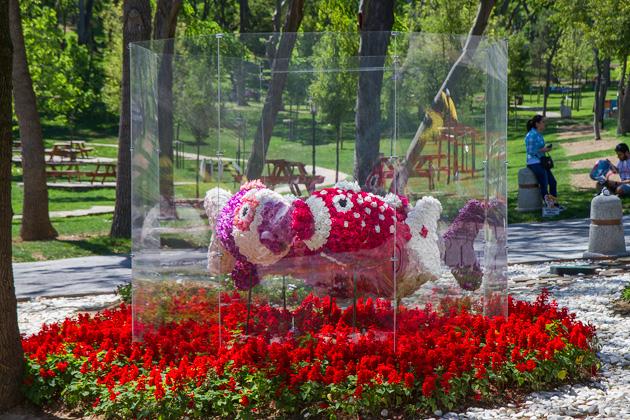 RemallTourism's tweet photo. #tulip_festival_ #Istanbul just started! #Remall_Tourism http://t.co/WeAX2yRty1