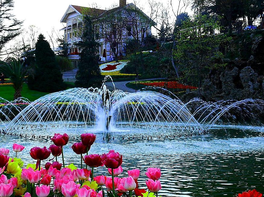 RemallTourism's tweet photo. #tulip_festival_ #Istanbul just started! #Remall_Tourism http://t.co/WeAX2yRty1