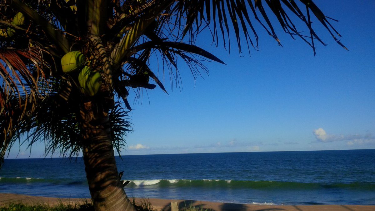 tsystemsbrasil's tweet photo. Amanhece o 1º dia de #ITForum na Bahia! Por aqui, a T-Systems abordará o #DynamicIT e aproximar pessoas e negócios =) http://t.co/OSE9c5mL8V
