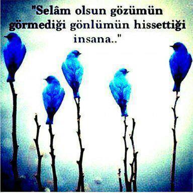 emiorhan's tweet photo. http://t.co/cmqBSiyWQz
