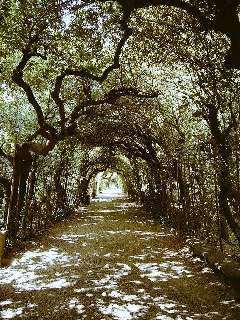 claritheginger's tweet image. Boboli &amp;amp; picnicnero di mezza estate 😆 #boboli #boboligardens #firenze #palazzopitti #italy