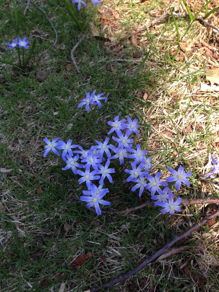 thefourkitties's tweet image. Hey hardcore fourkittiers here's is some premium content