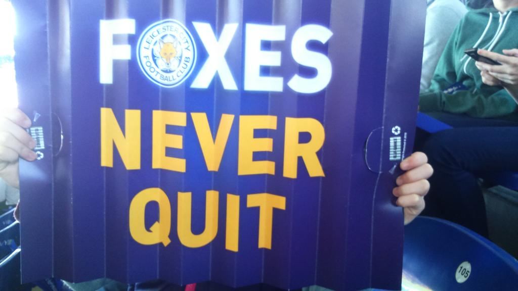 HaynesJoshbar's tweet photo. Another emphatic win for @OfficialFOXES fantastic performance "we are staying up!" http://t.co/GEDg1edUTr