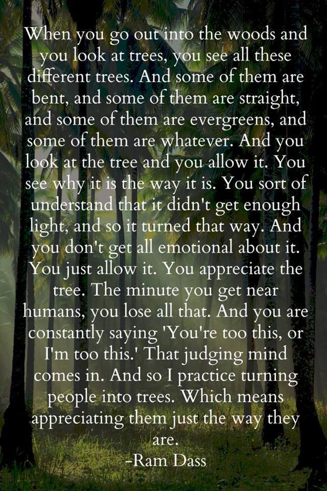 BabaRamDass's tweet photo. http://t.co/gpRbRUzebq