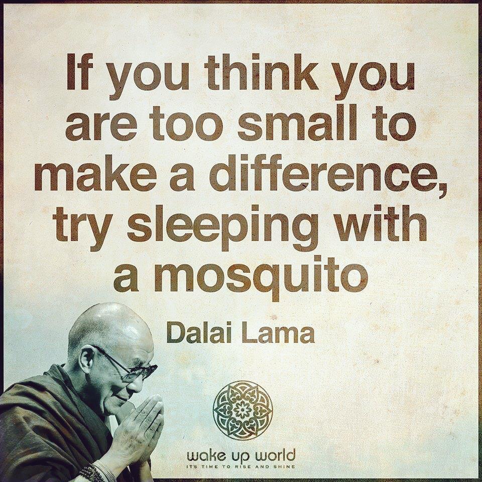 DiederickPutter's tweet image. 