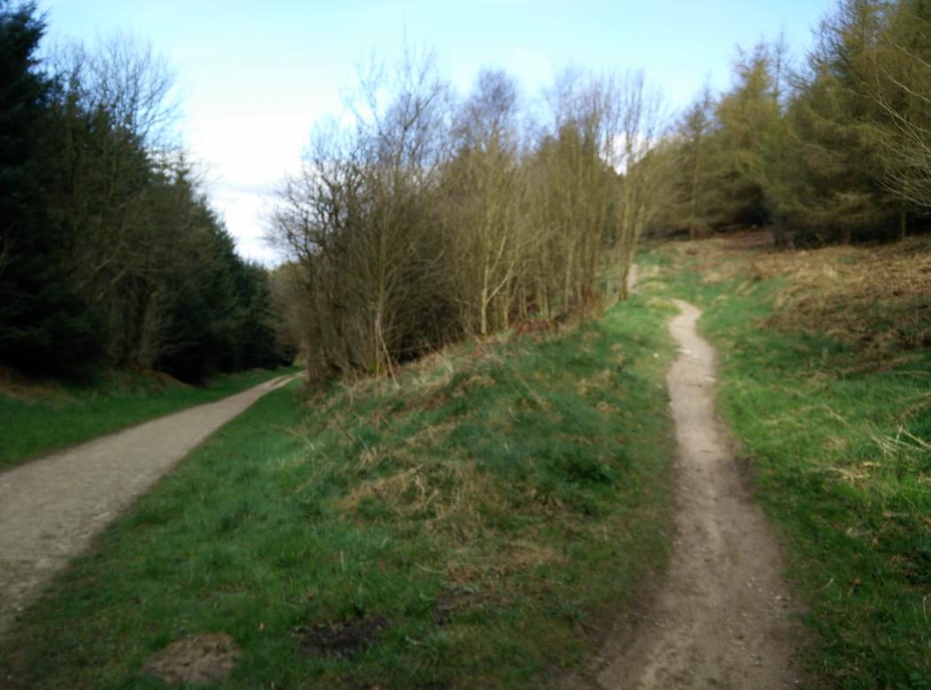 rickjesse's tweet image. Back from a early morning ride with  @GeekPointDesign