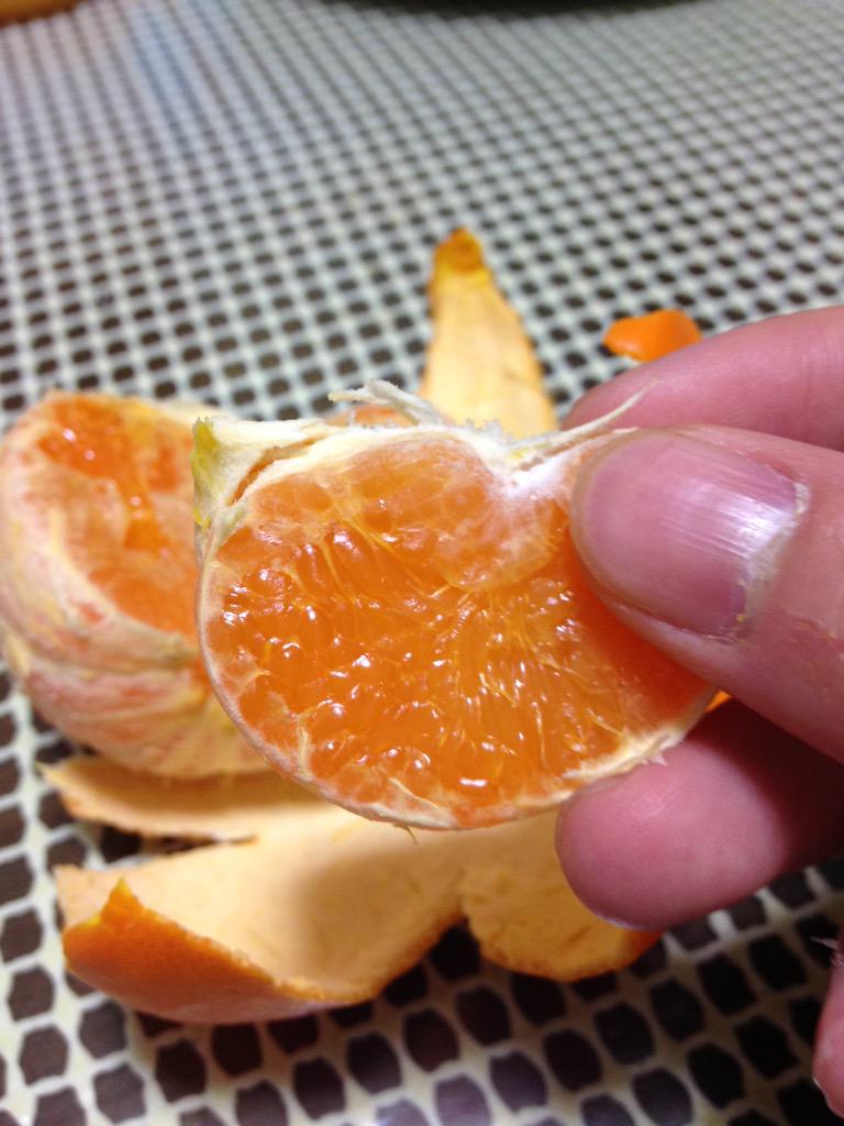 0310_jun's tweet photo. みかん！ http://t.co/XhInxENNEu