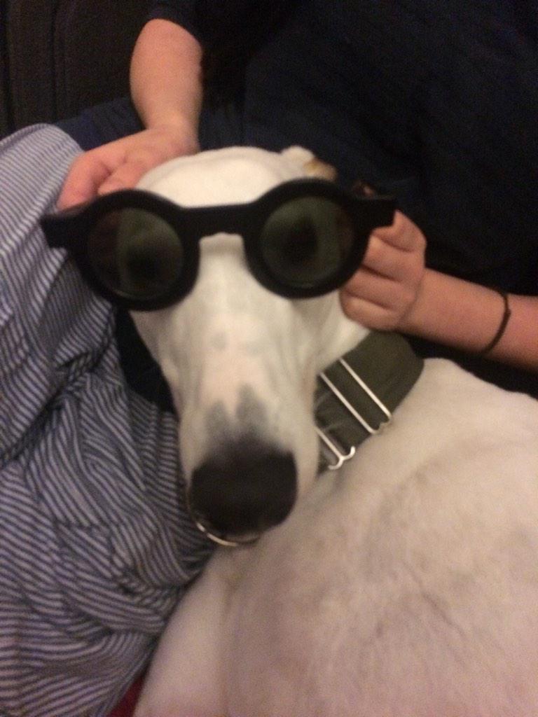 seminar (@tomseminarford) on Twitter photo 