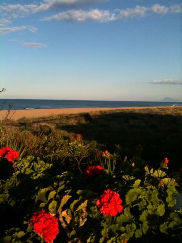 Chi_Chooo's tweet image. Xeraco Playa #lucky me!