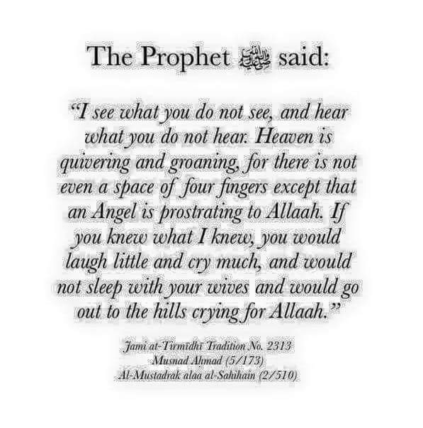 onlyislam1400's tweet photo. http://t.co/X23IWvrkSL