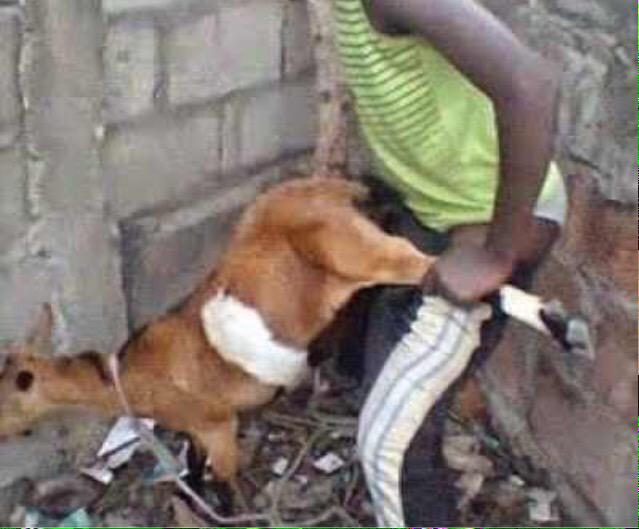 Goat_Fart's tweet photo. @thegrapist420 LIKE THIS?!?! http://t.co/JTLB51fcLc