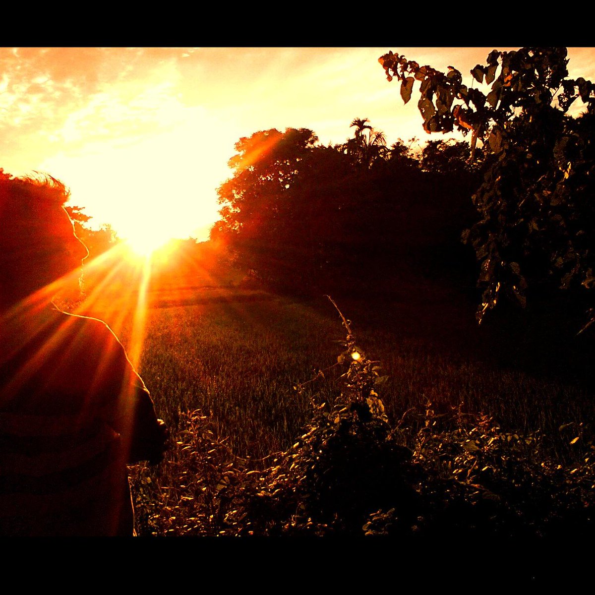 The setting sun