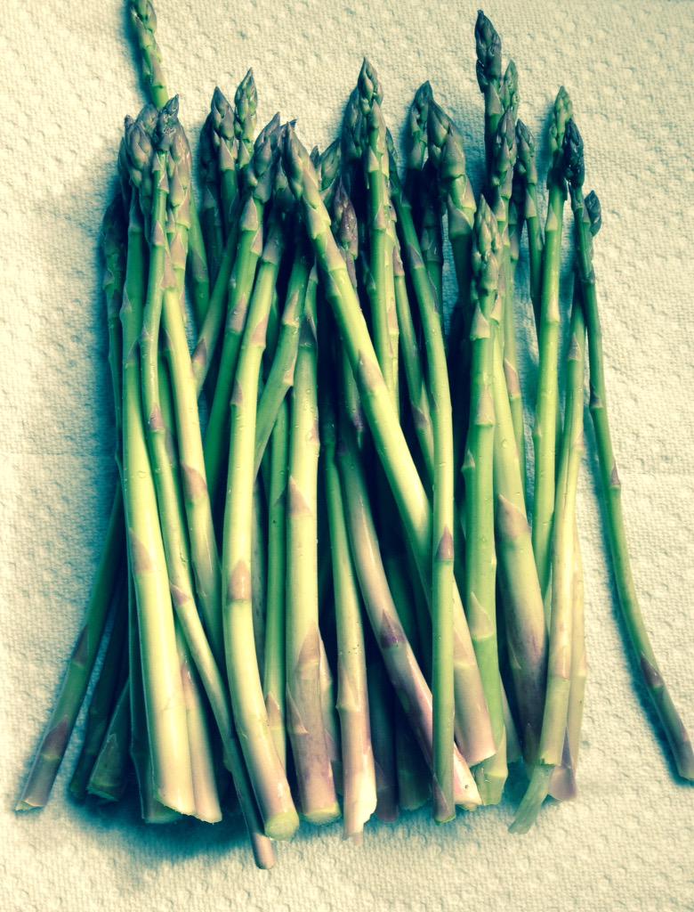 RivermystFarm's tweet photo. It's that time of year! http://t.co/xNEv36NFzK