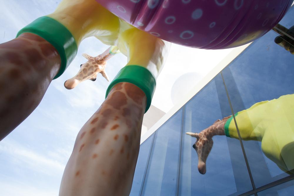 Yup , it's definitely a she. #anthemoftheseas #gigi <a href="/RoyalCaribPR/">Royal Caribbean Public Relations</a> @MyRoyalUK <a href="/photoriley/">Roy Riley</a>