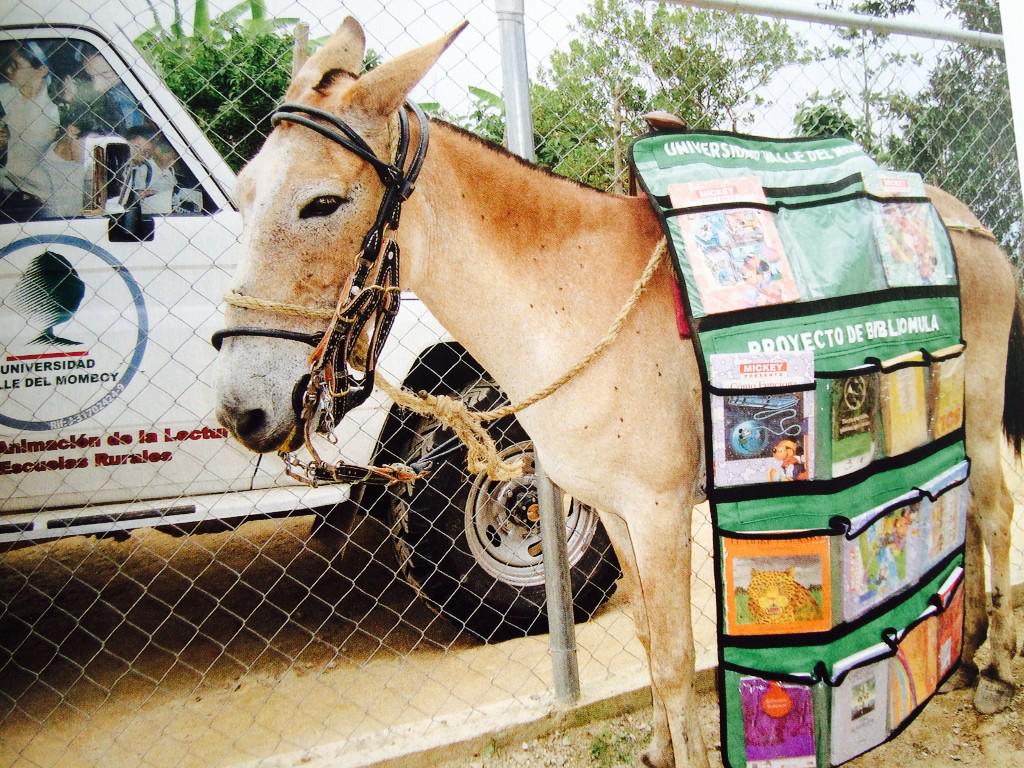 sdowdtrust's tweet photo. Lots of great examples of #ImprobableLibraries in this book. Here's some in Venezuela, Burundi, Madrid... http://t.co/2ZF3HW55lO