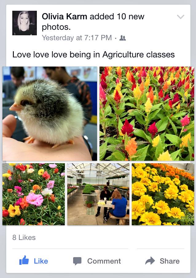 NHHS_FFA's tweet photo. What do you love about agriculture classes? @olivia_karm http://t.co/4MirW5BSFN