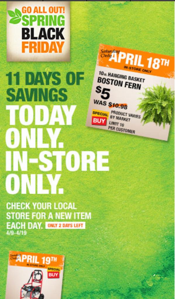 #11DaysofSavings  Day 10: Boston Ferns were $10.98 now $5.00. TODAY ONLY! 🌻 #HomeDepot #SpringBlackFriday #LetsDoThis