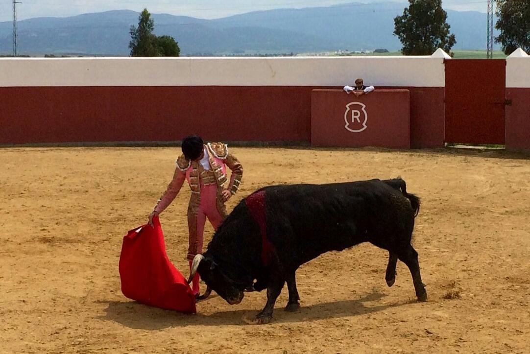 Cayetano_Rivera's tweet photo. "@SvgVega: Disfrutando del toreo junto a mi compañero @Cayetano_Rivera en Carlos Núñez. http://t.co/lonVShboEN" Igualmente torero ;) Suerte!