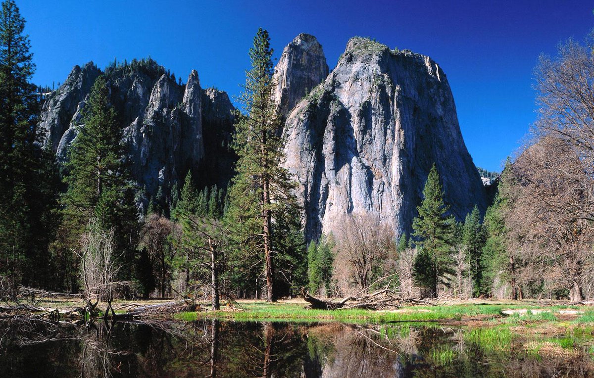 Discovery's tweet photo. .@NatlParkService is offering free admission to all national parks this weekend. Learn more >> http://t.co/W33NUGVQ9m http://t.co/a01HpK0vH8