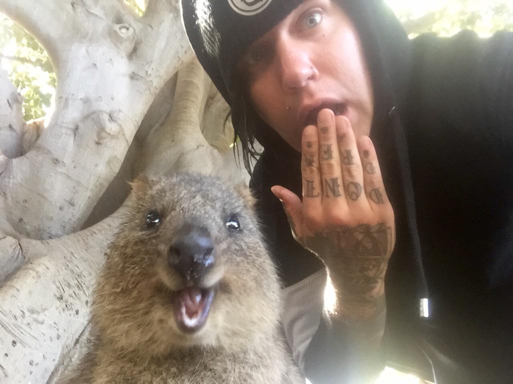 FRONZ1LLA tweet picture