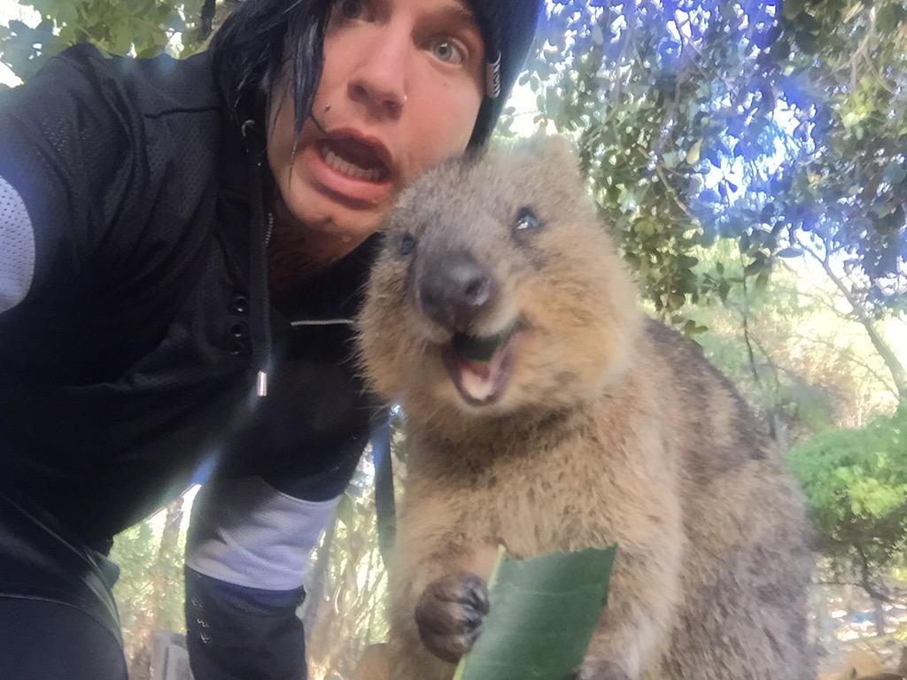 FRONZ1LLA tweet picture