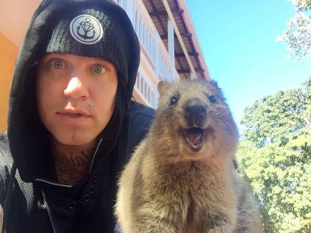 FRONZ1LLA tweet picture