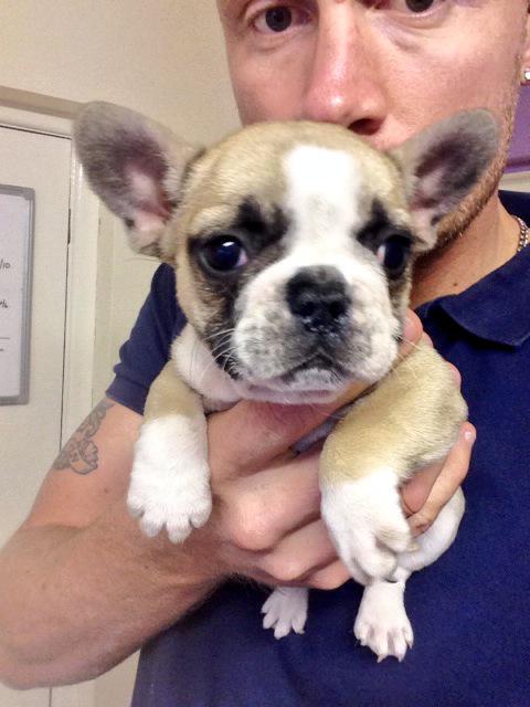 flintoff11's tweet photo. Congrats @chrisflintoff we have a new brother , @SusanGranny has'nt named him yet ! @RobbieSavage8 @donaldmc http://t.co/zsJRyNoR4g