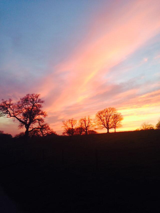 Beautiful sunset🌅