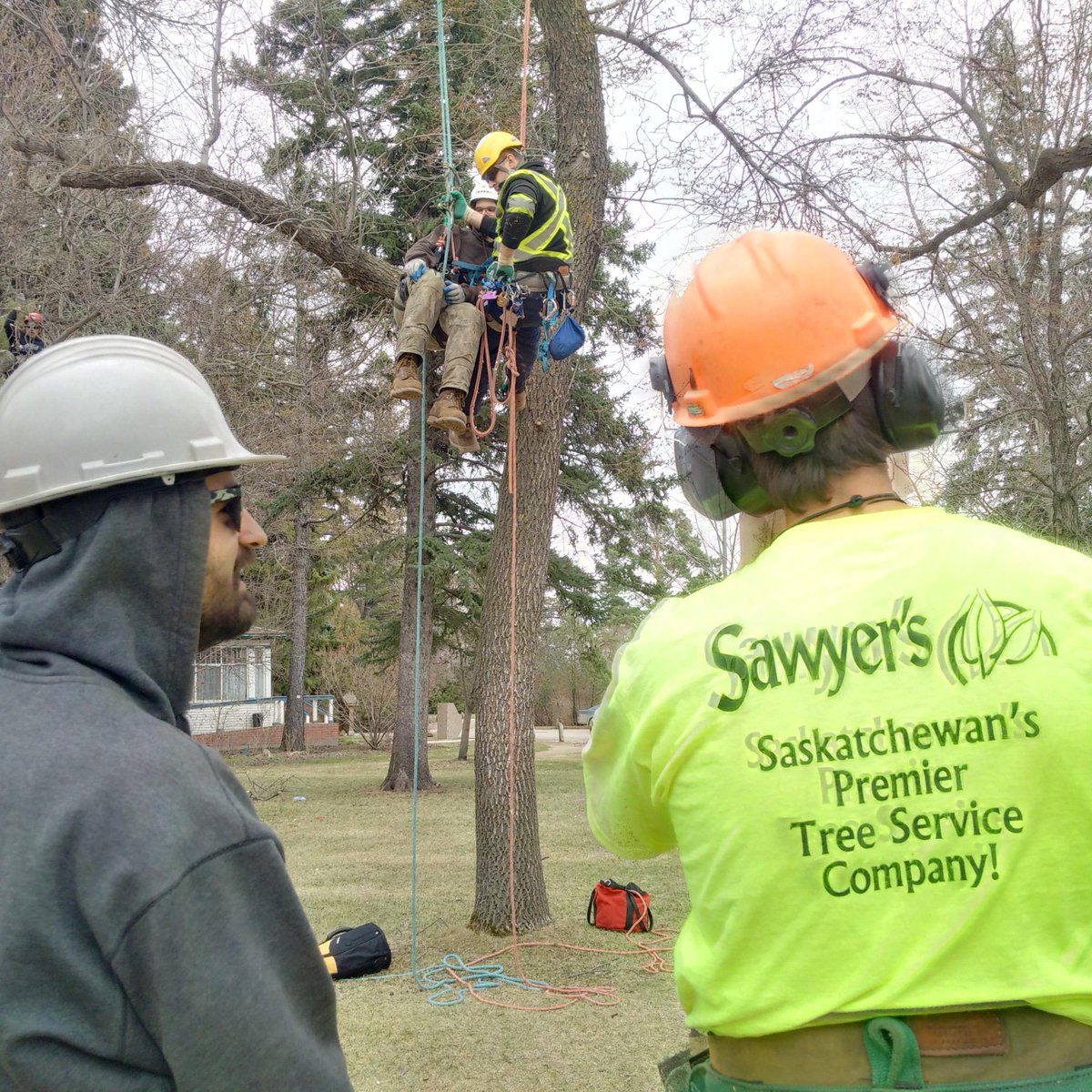 ArborCanada's tweet photo. Today's Custom Tree Climbing and Rescue course ends with the an aerial rescue competition...great learning and fun! http://t.co/eJa7NbsioV