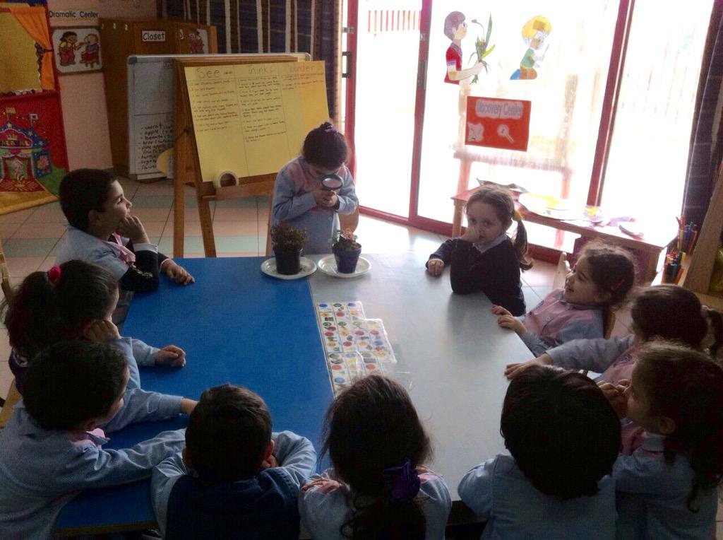 rawankhalifeh1's tweet photo. Stimulating curiosity #see/think/wonder #visible thinking #dead and alive plants# observation #what if? @Hhhsinfo http://t.co/Pcv0b4EuJu