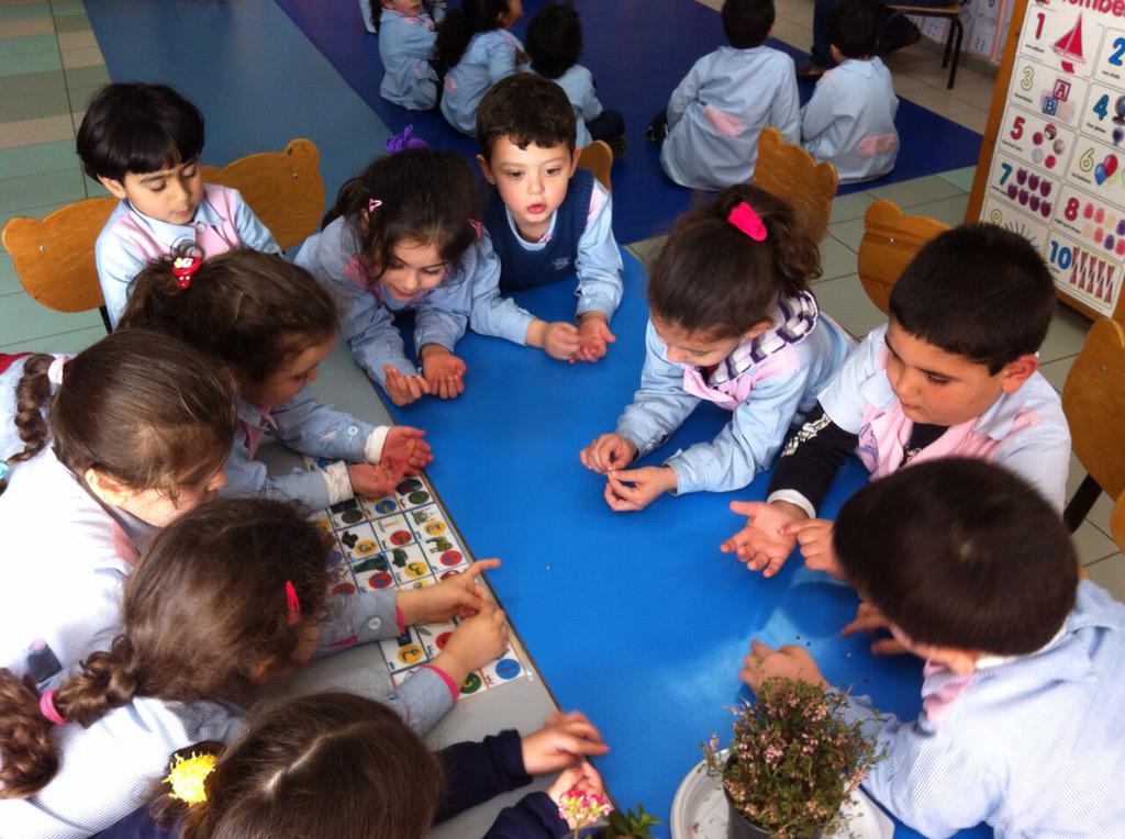rawankhalifeh1's tweet photo. Stimulating curiosity #see/think/wonder #visible thinking #dead and alive plants# observation #what if? @Hhhsinfo http://t.co/Pcv0b4EuJu
