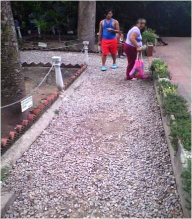AsoNehml's tweet photo. La@AsocNehml administra recursos d auto gestión mejora áreas del Monumento Maria Lionza @inparquesgob @ParquesYaracuy http://t.co/K0KIKcPjYi
