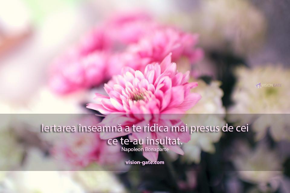 Vision_Gate's tweet image. Ieși din zona de confort și iartă, apoi mergi mai departe!