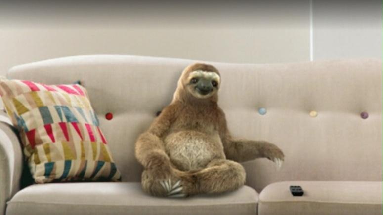 Alie_mcc's tweet photo. Think I'm turning into Neil the sofa works sofa sloth! #sofasloths http://t.co/MemtliWykz
