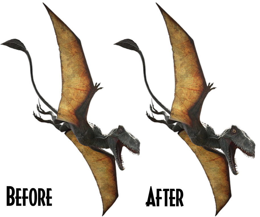 CC5R0kKUsAEry6a.png:large