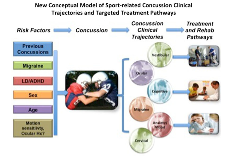 JMillerSPT's tweet photo. Exciting research from PITT in assessment &amp; targeted txs for sport-related concussion via specific clin trajectories http://t.co/FW8xSfWPGq